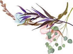 Content & copywriting<