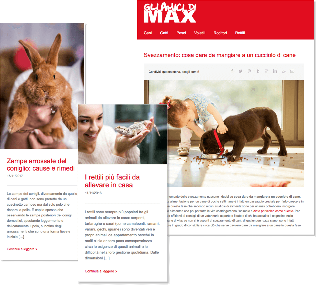  BLOG e content marketing