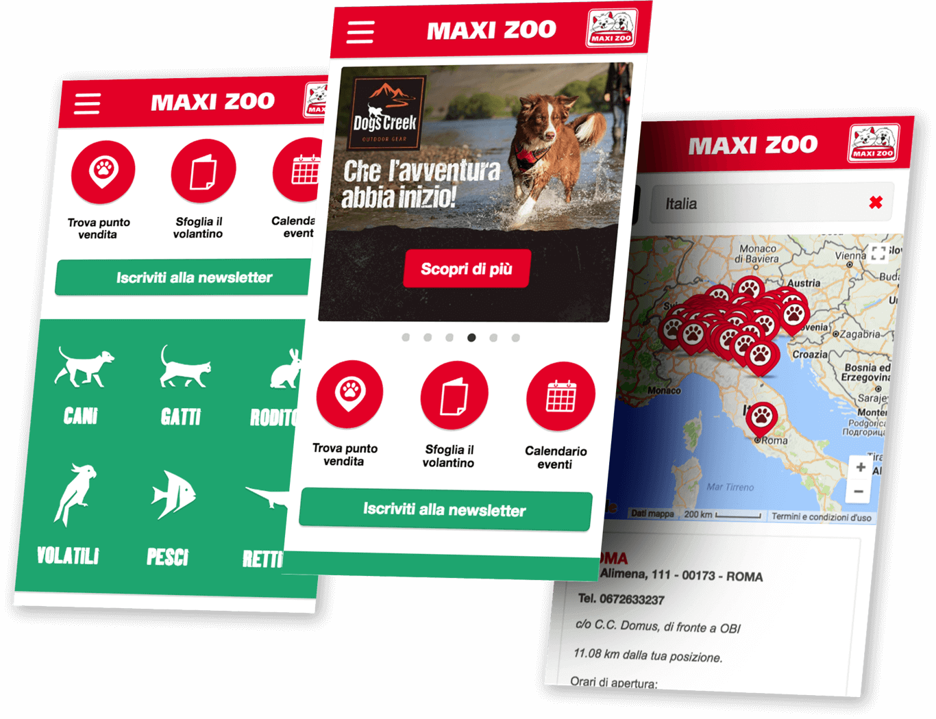 Sviluppo Web & Mobile